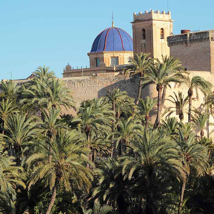 Castillo-Elche