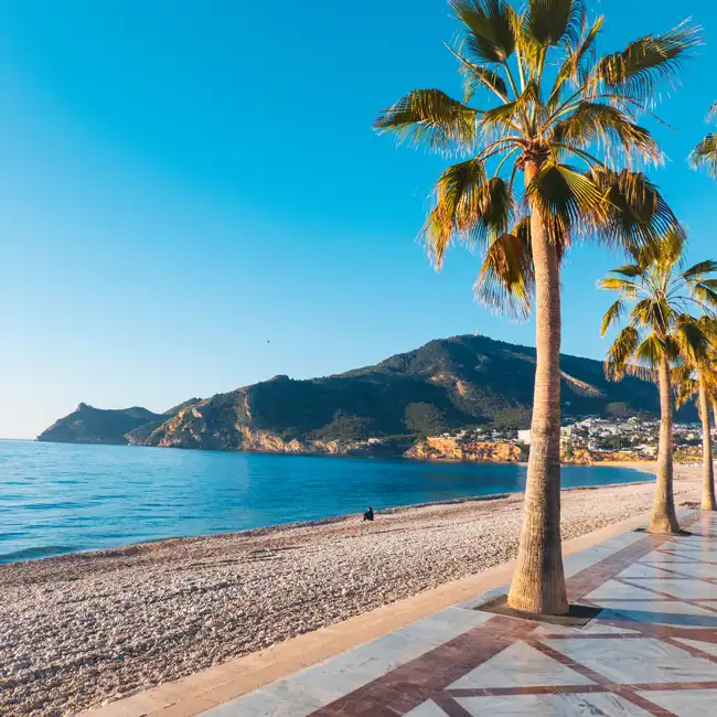 Alicante