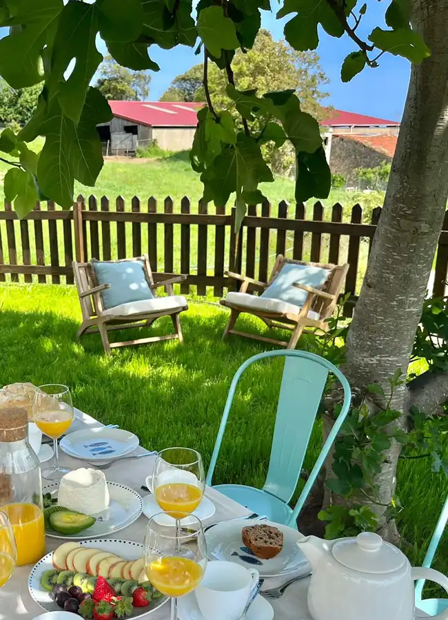 Wishome breakfast in the garden