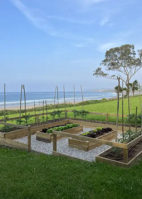 Du jardin à la table